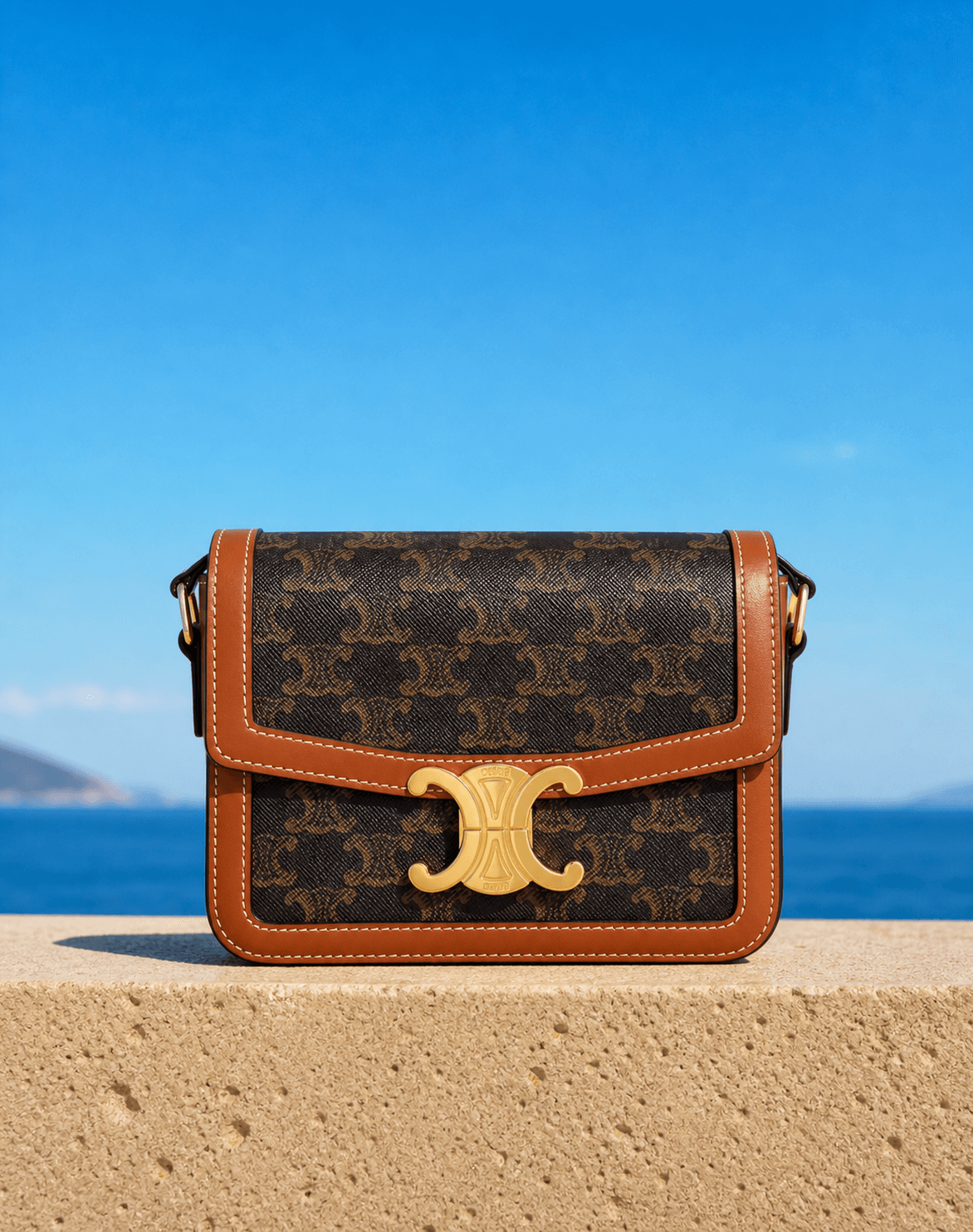 Celine designer bags