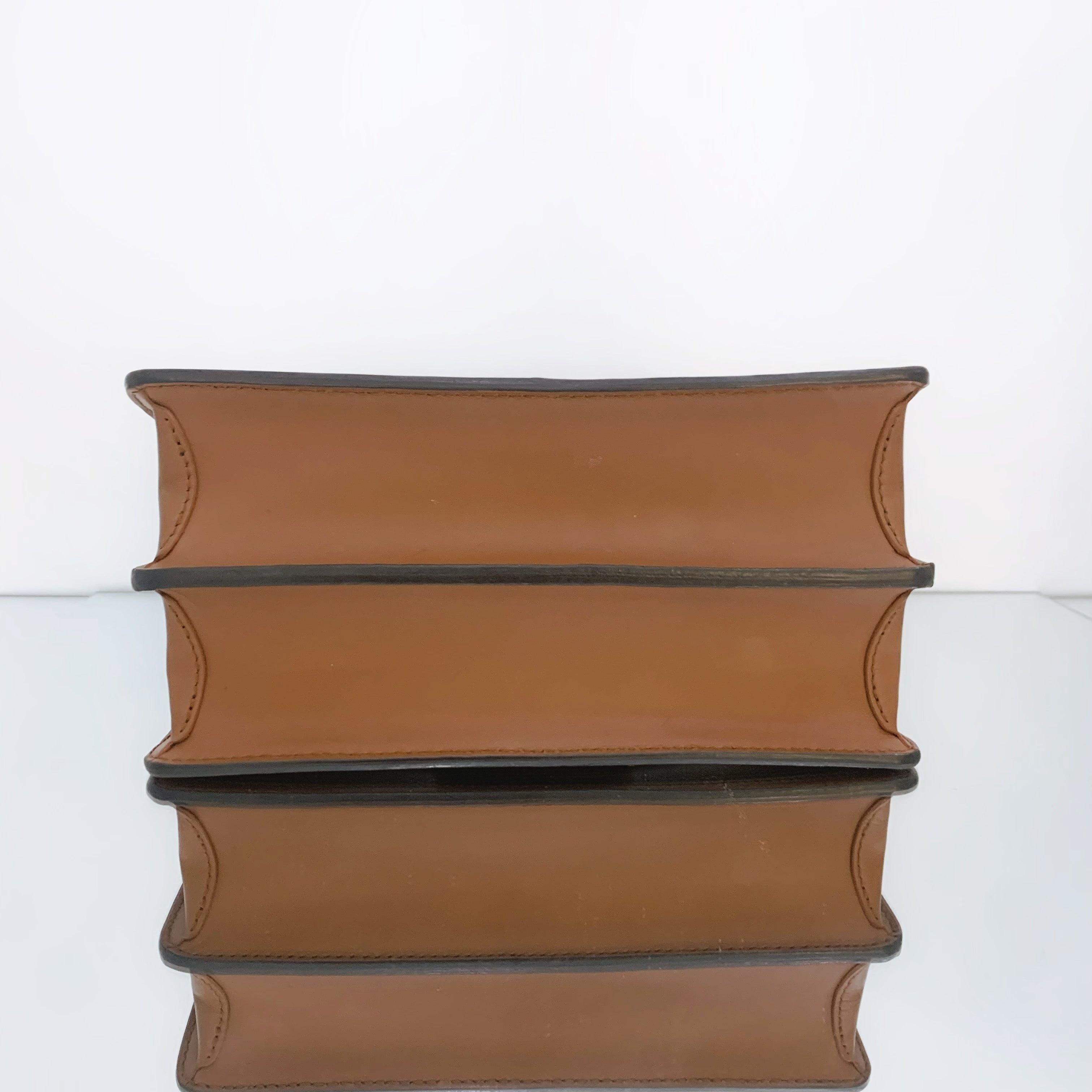 Louis Vuitton Dauphine MM in Monogram & Monogram Reverse Canvas