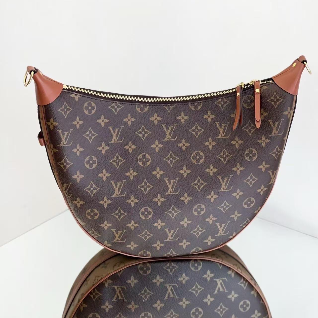 Louis Vuitton Loop Hobo in Monogram Canvas and Monogram Reverse