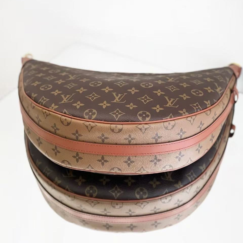 Louis Vuitton Loop Hobo in Monogram Canvas and Monogram Reverse