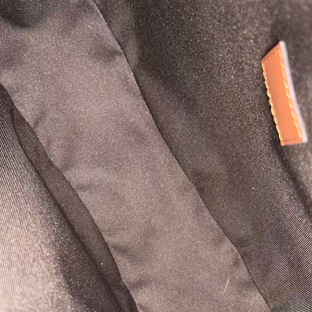 Louis Vuitton Loop Hobo in Monogram Canvas and Monogram Reverse