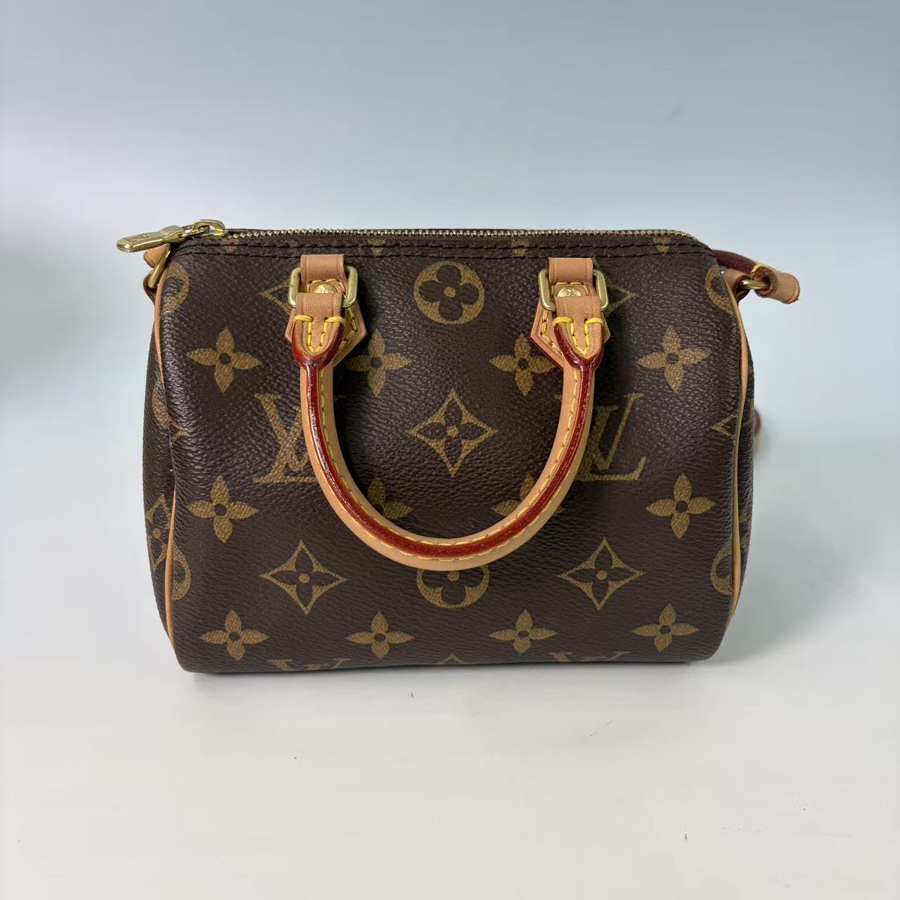 Louis Vuitton Nano Speedy in Monogram Canvas
