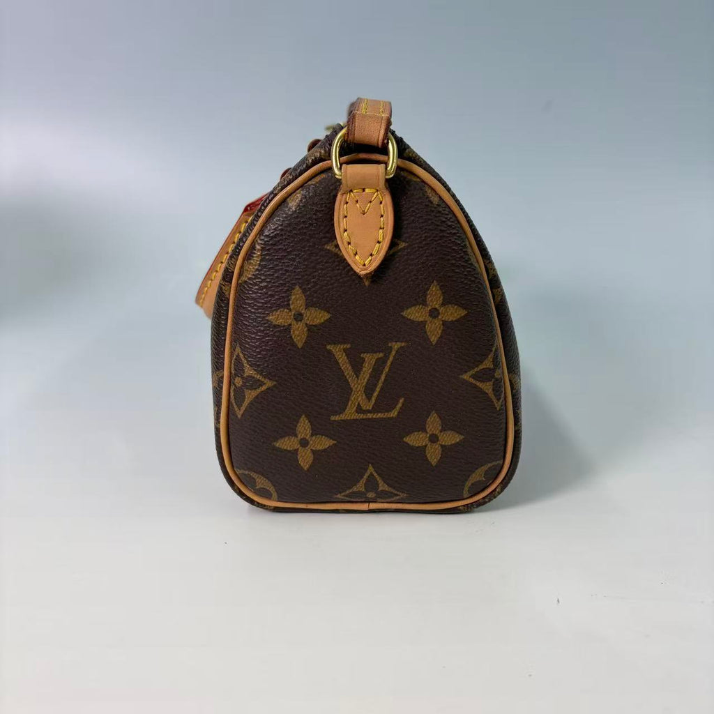 Louis Vuitton Nano Speedy in Monogram Canvas