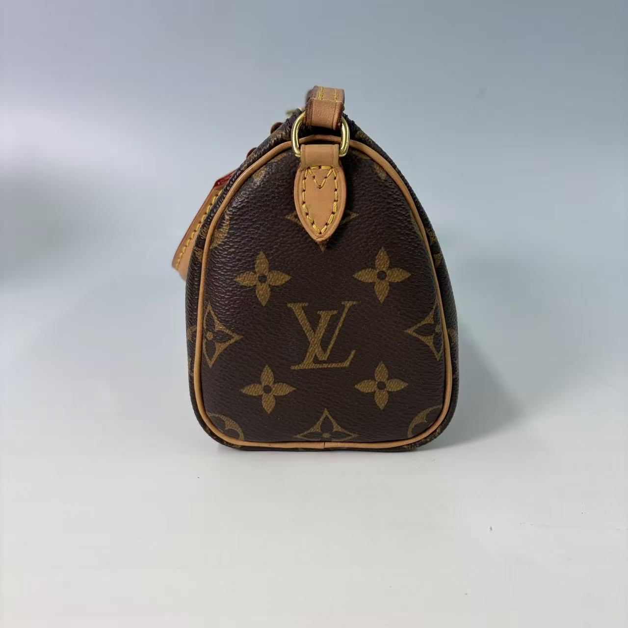 Louis Vuitton Nano Speedy in Monogram Canvas