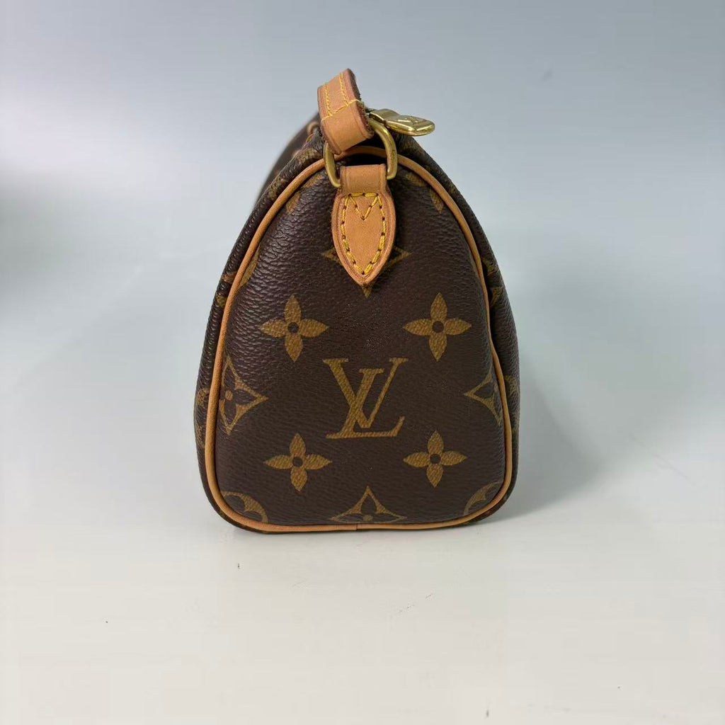 Louis Vuitton Nano Speedy in Monogram Canvas