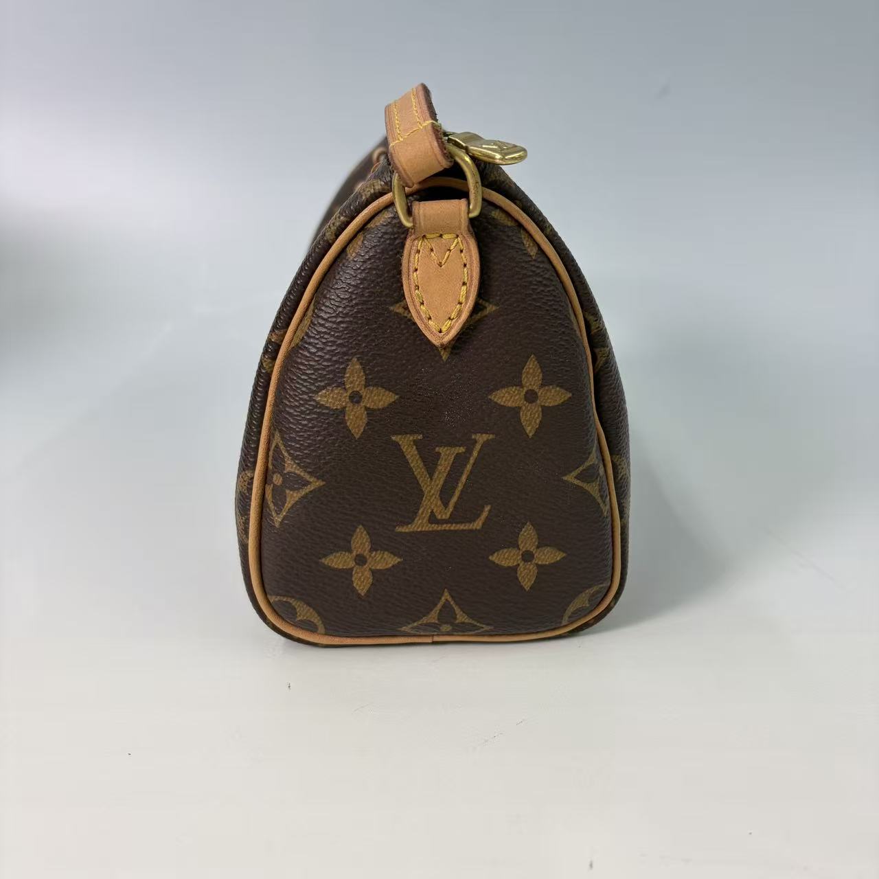Louis Vuitton Nano Speedy in Monogram Canvas