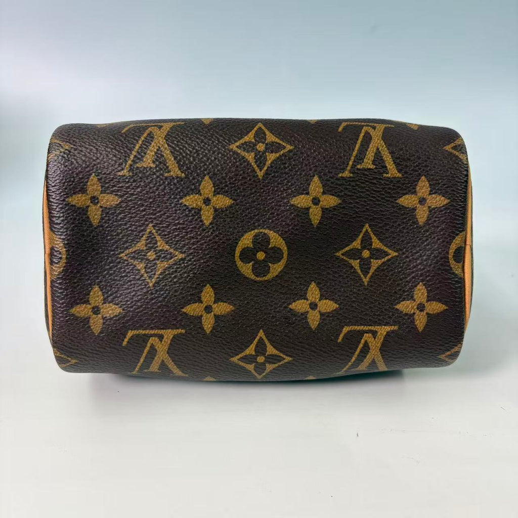 Louis Vuitton Nano Speedy in Monogram Canvas