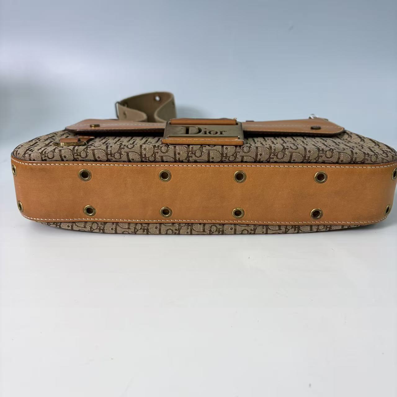 Christian Dior Vintage Trotter Romantique Street Chic Bag