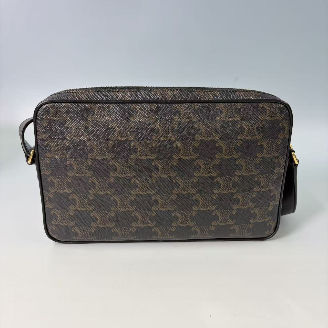Celine Medium Camera Bag in Triomphe Canvas with Bold Logo