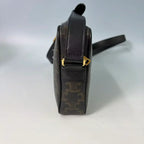 Celine Medium Camera Bag in Triomphe Canvas with Bold Logo