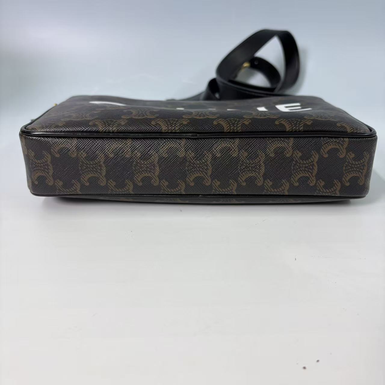 Celine Medium Camera Bag in Triomphe Canvas with Bold Logo