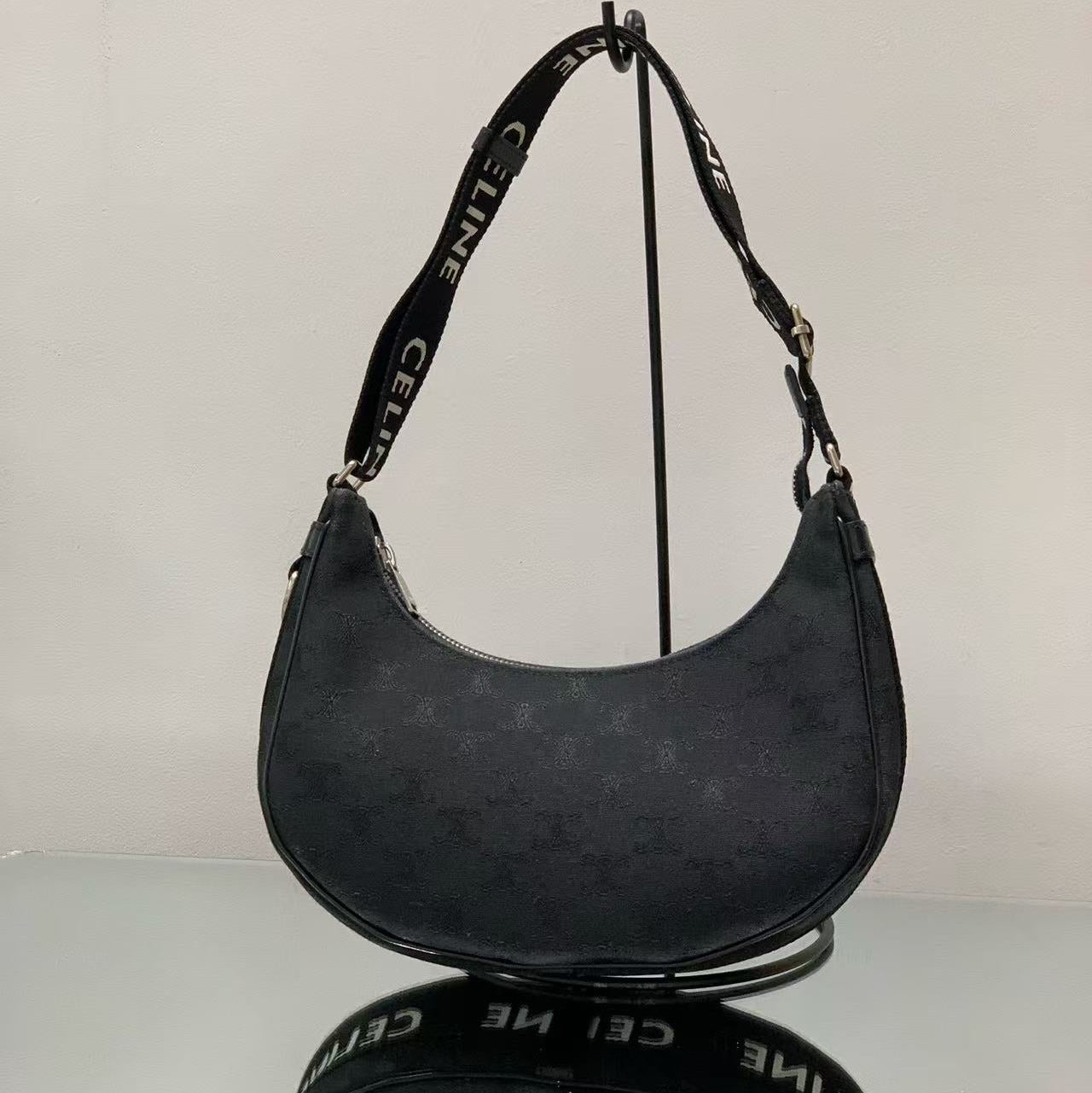 Celine Ava Bag in Triomphe Canvas and Calfskin