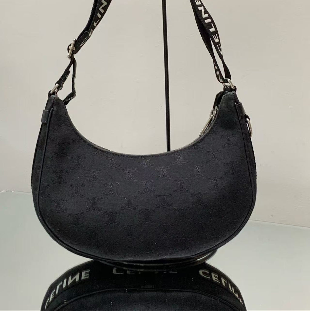 Celine Ava Bag in Triomphe Canvas and Calfskin