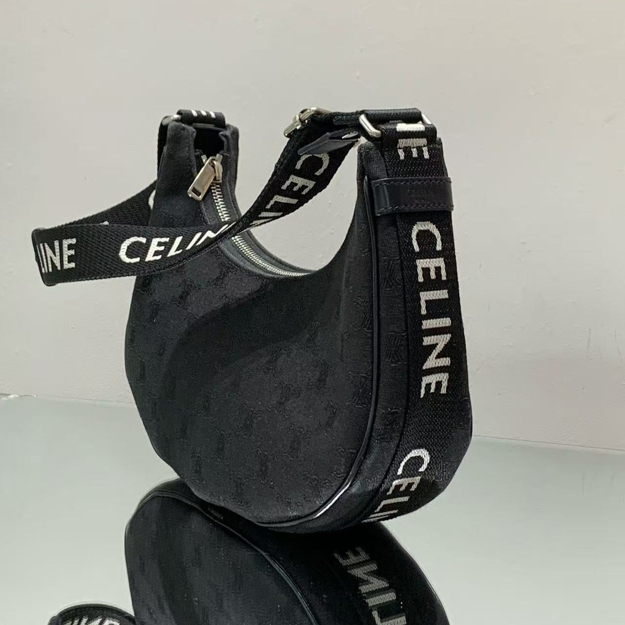 Celine Ava Bag in Triomphe Canvas and Calfskin