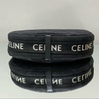 Celine Ava Bag in Triomphe Canvas and Calfskin