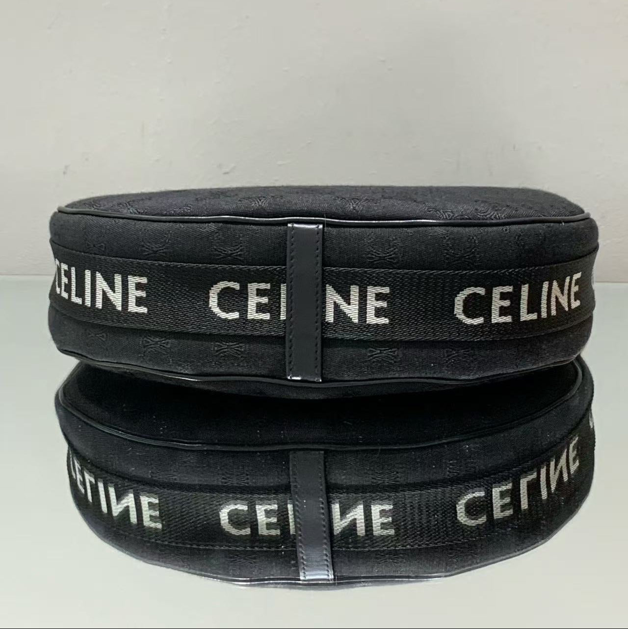 Celine Ava Bag in Triomphe Canvas and Calfskin