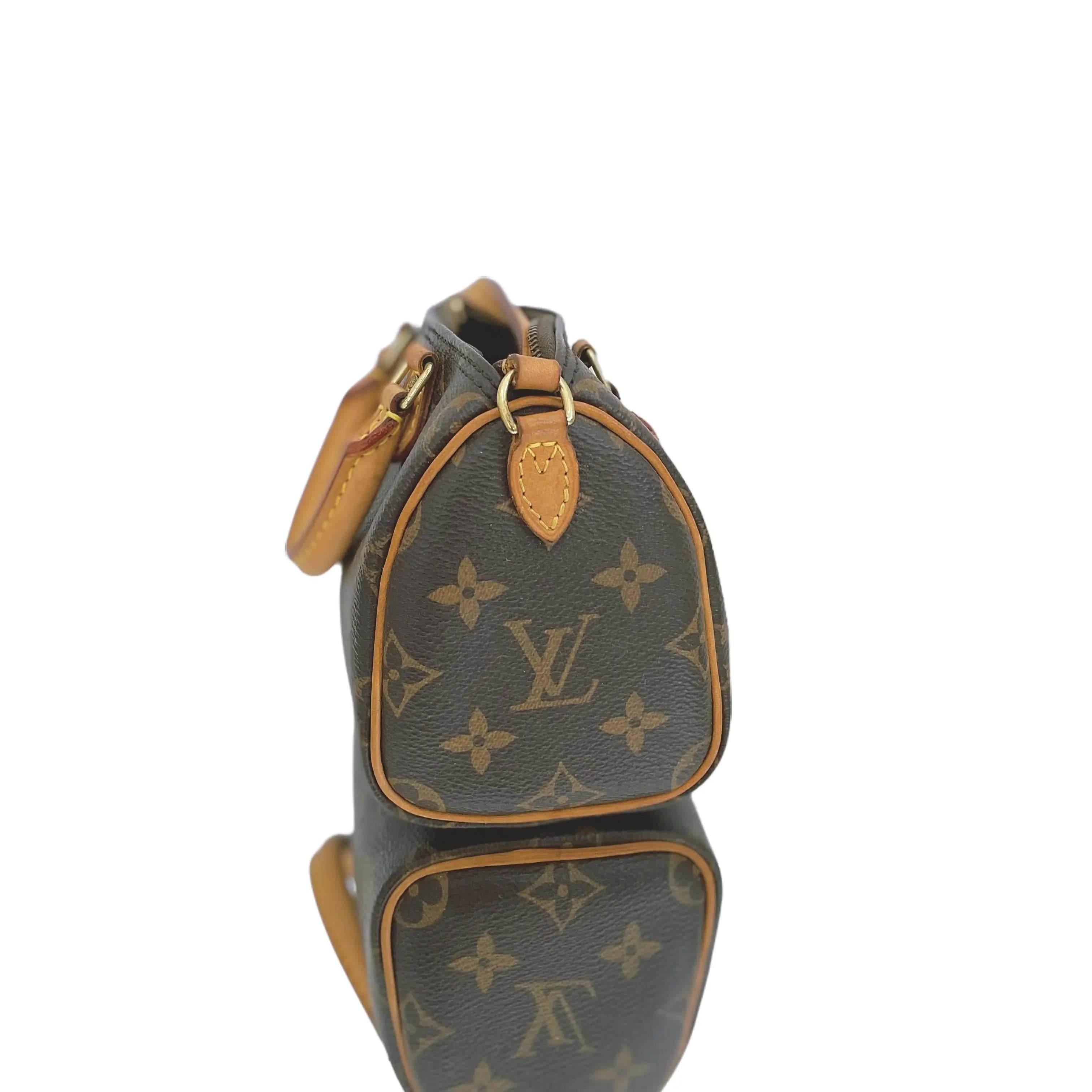 Louis Vuitton Speedy Nano Monogram